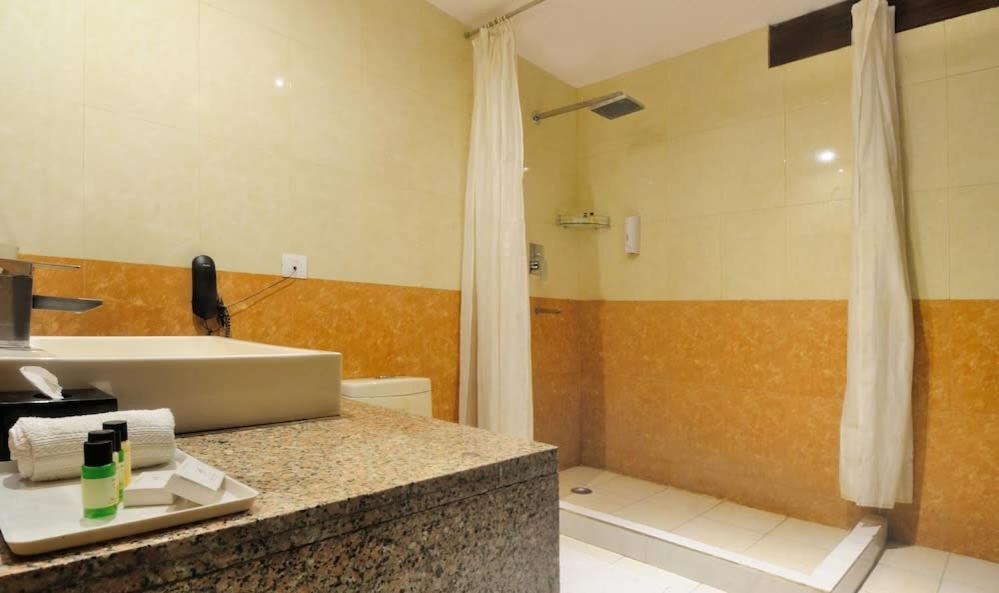 Zenith Hotel - Delhi Airport Új-Delhi Kültér fotó